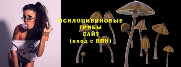 трава Армянск